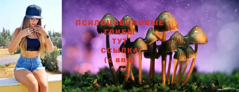 Псилоцибиновые грибы MAGIC MUSHROOMS  дарнет шоп  мориарти какой сайт  Оханск 